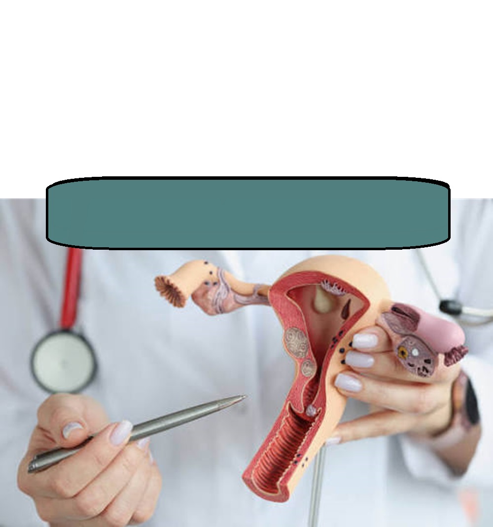 Department of Obsterrics, Gynecology and Infertility